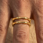 Men's Segmented Ring