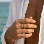 Men's Segmented Ring