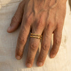 Men's Segmented Ring